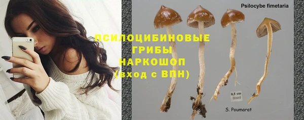 бутик Аркадак