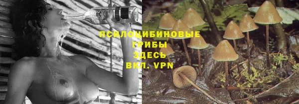 не бодяженный Арсеньев